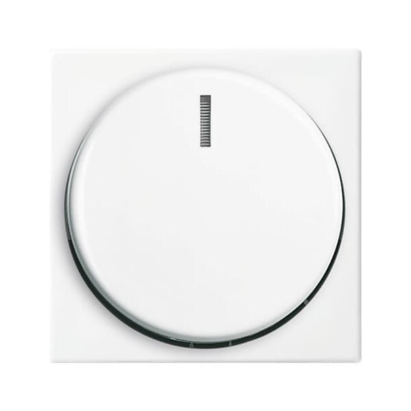 Busch-Jaeger Zentralscheibe alpinws f.Dimmer 2115-914